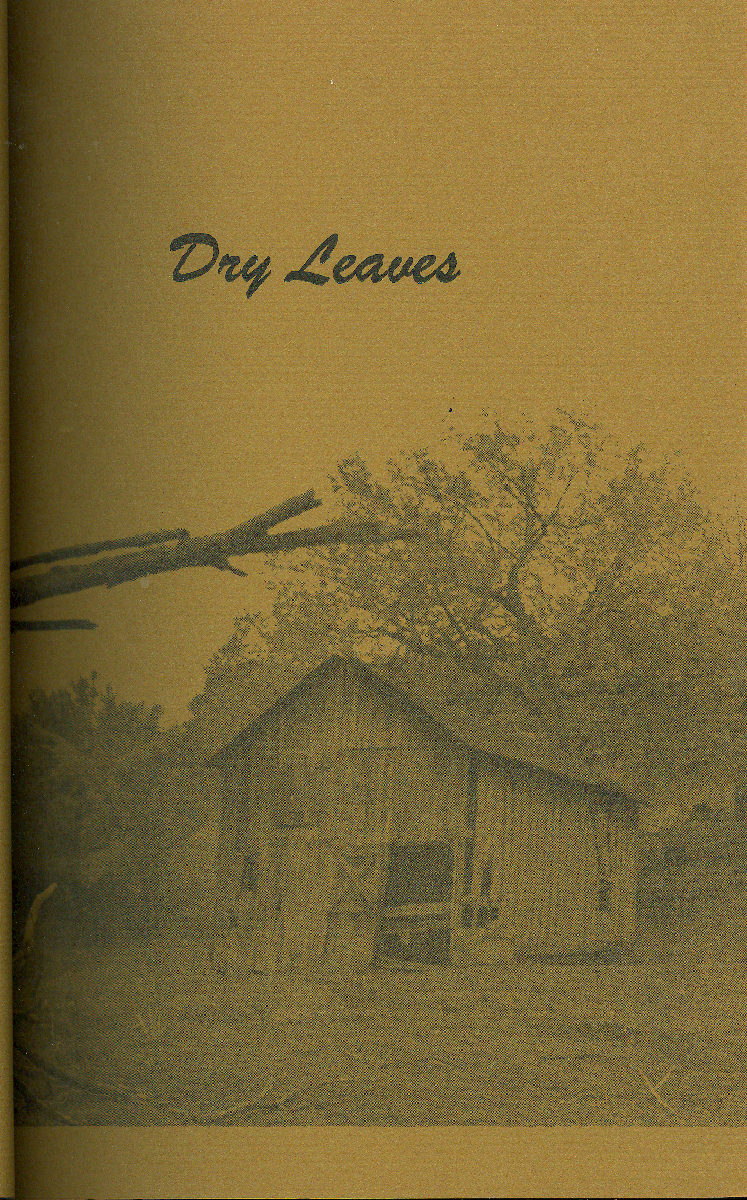 Dry Leaves Cover