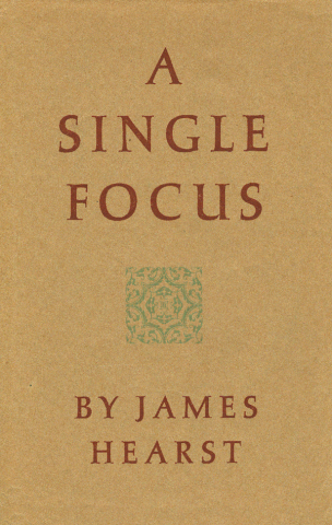 Cover of A Single Focus